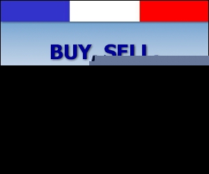 Domaineur Domaineur sur domaining